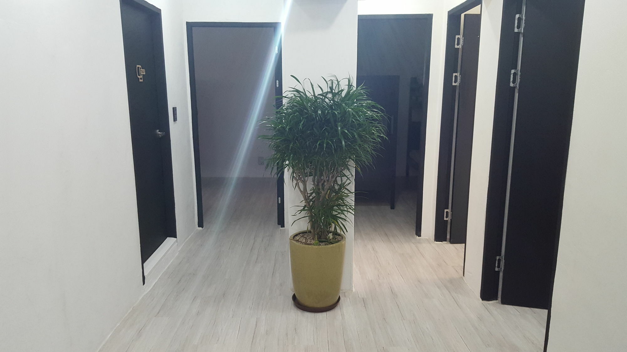 首爾 亚马逊旅馆酒店 外观 照片